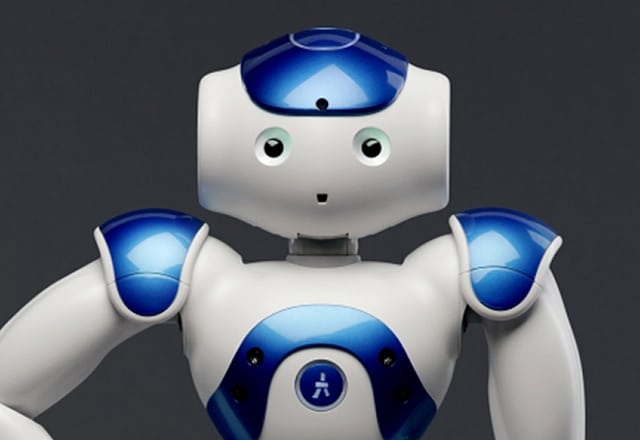 Nao robot workshop