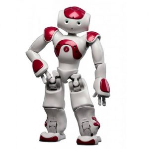 Humanoid robot Nao huren
