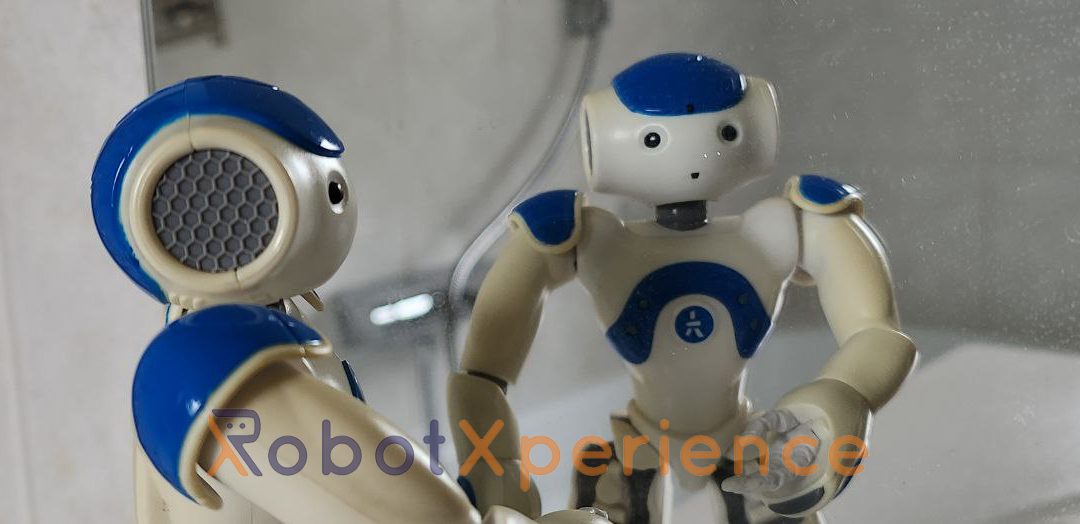 Dagboek van een robot – eigen identiteit