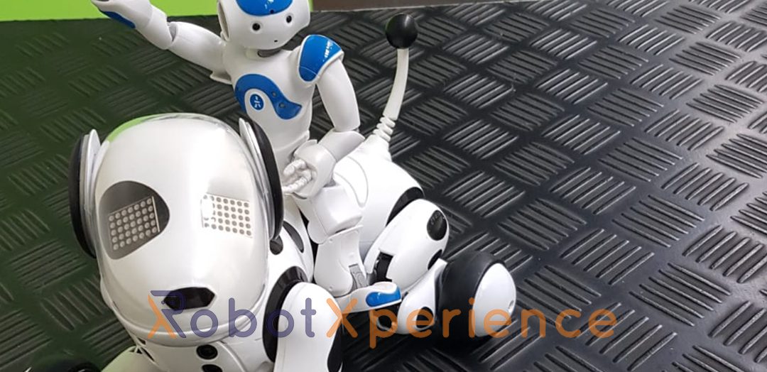 Dagboek van een robot – hond uitlaten