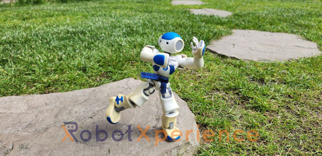 Dagboek van een robot – martial arts
