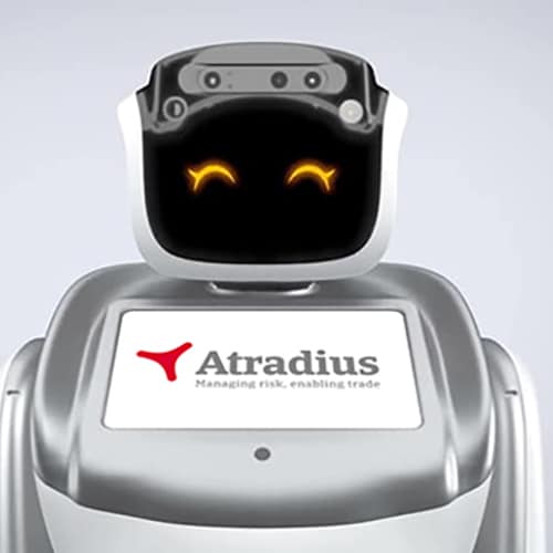 robots voor promotie robots voor promotie