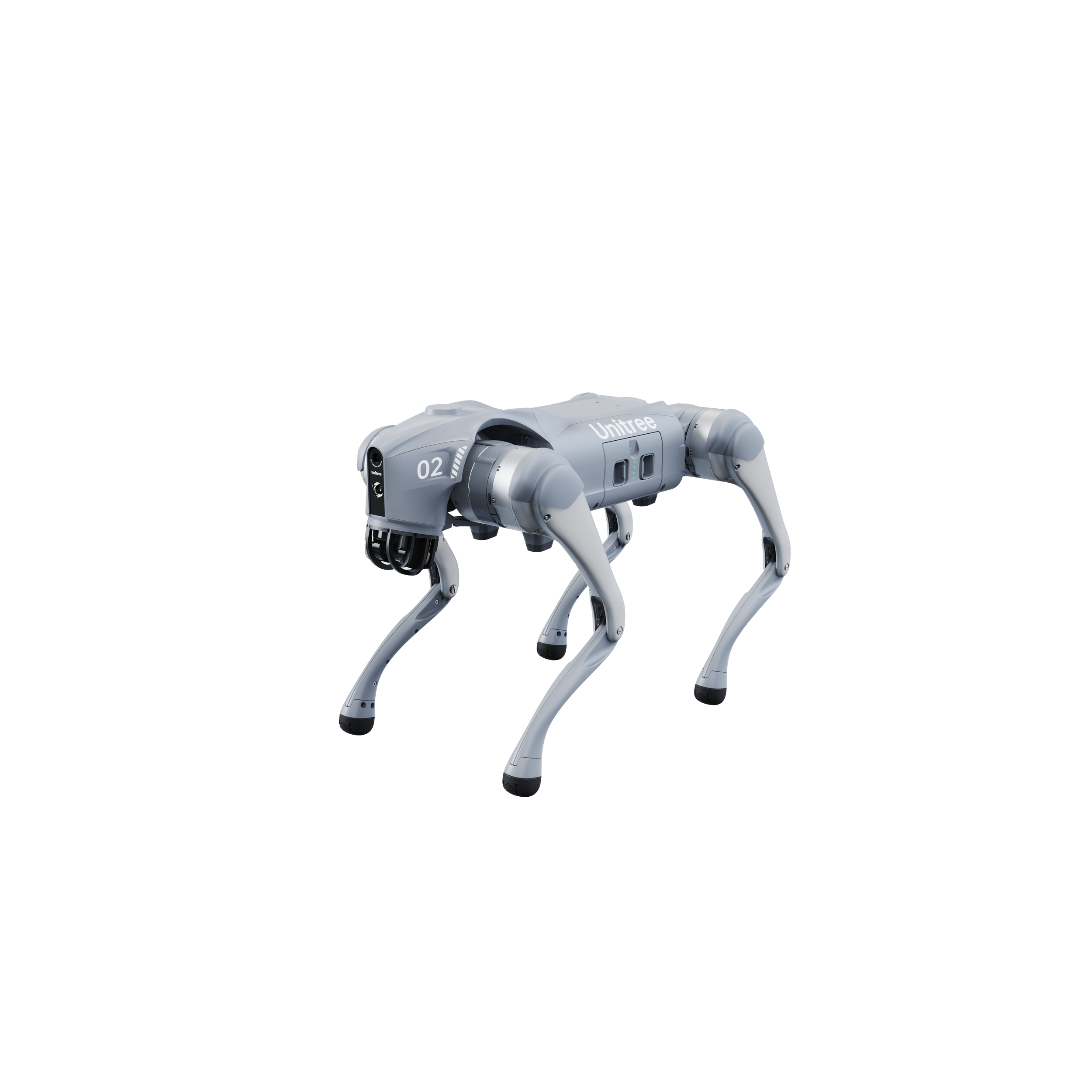 Unitree Go2 robothond square