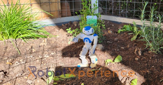 Dagboek van een robot - technologie in de moestuin